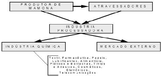 Agentes da cadeia agroindustrial da mamona