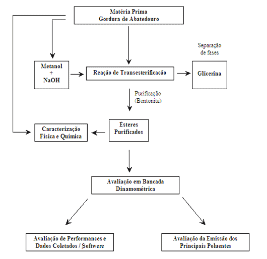Diagrama de fluxo das etapas realizadas no projeto