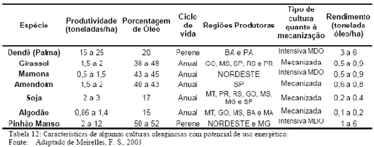 Caracter&iacute;sticas de algumas culturas oleaginosas com potencial de uso energ&eacute;tico.