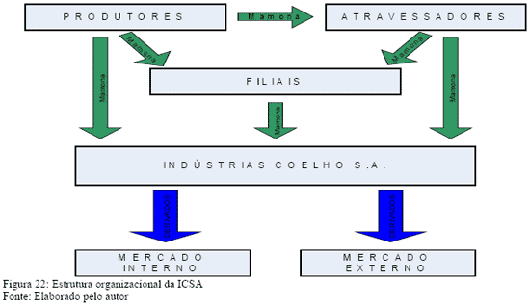 Estrutura organizacional da ICSA