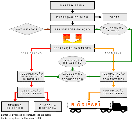 Processo de Obten&ccedil;&atilde;o de biodiesel