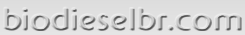 biodieselbr.com