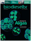 capa 6