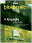 capa 11