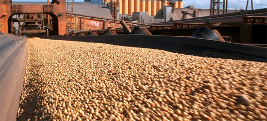 O problema da exportacao de soja