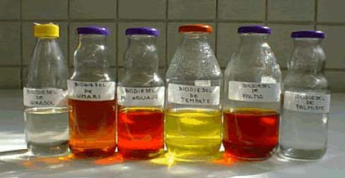 Amostras de biodiesel