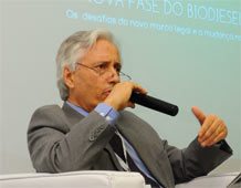 Orlandi