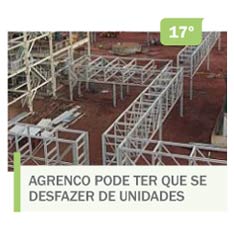 Agrenco pode ter que se desfazer de unidades