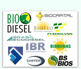 Todas as Fábricas de Biodiesel