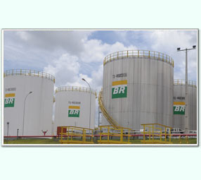 Petrobras Biocombust�vel