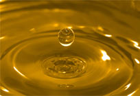 Biodiesel