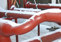 Frio