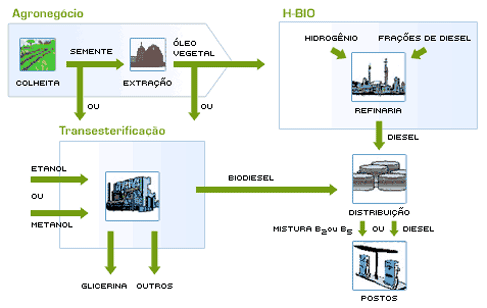 Rotas de produção do H-bio