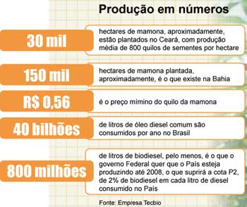 Producao da mini-usina Tauá