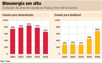 canola para alimentação e para comida na frança canola para alimentação e para comida na frança
