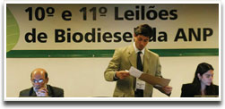 Os leilões de biodiesel