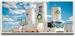 Usina de biodiesel: biotins