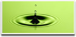 ANP e o leilão de biodiesel