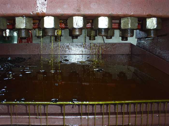 Novos números revelam consumo maior de soja para biodiesel em 2014