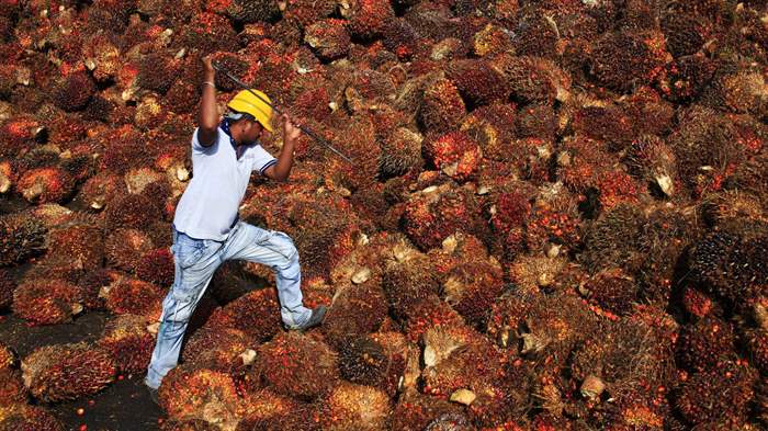 Teores maiores de biodiesel estão valendo na Indonésia e Tailândia