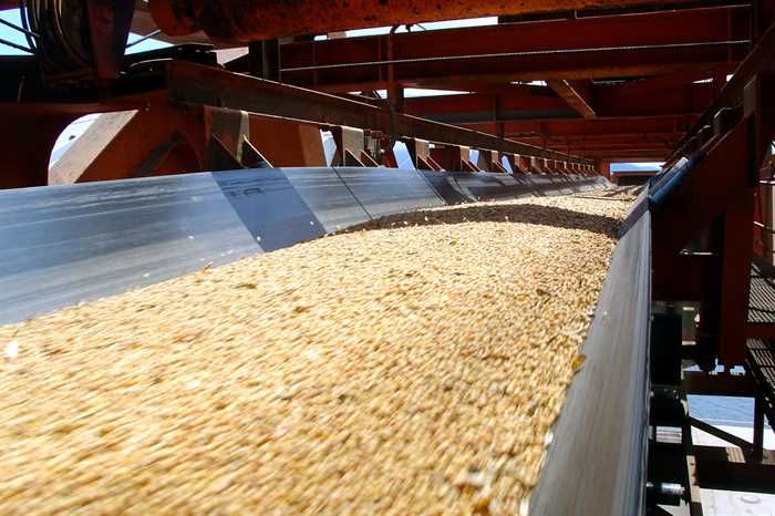 Indústrias de soja reduzem esmagamento por aperto nas margens