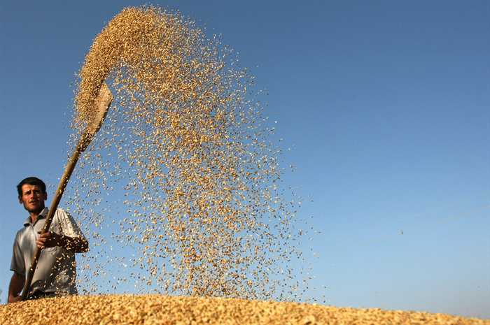 Cotações de internacionais dos óleos vegetais ensaiam recuperação