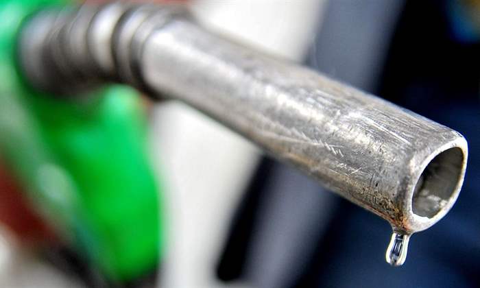 Entregas do Leilão de Opções 41 movimentaram R$ 35 milhões
