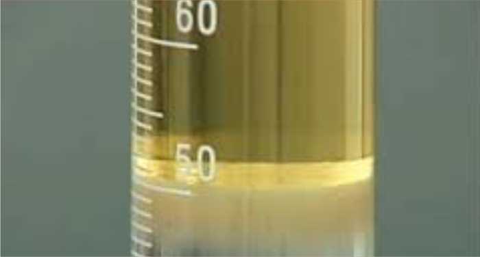 Leilão de Opções terá vendas acompanhada ao vivo pelo BiodieselDATA