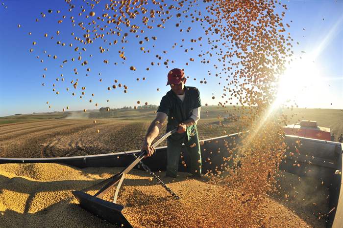 Soja avança e sebo perde espaço no mix do biodiesel de fevereiro