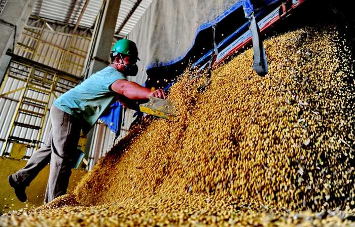 Participação do óleo de soja no biodiesel volta a ficar abaixo dos 70%
