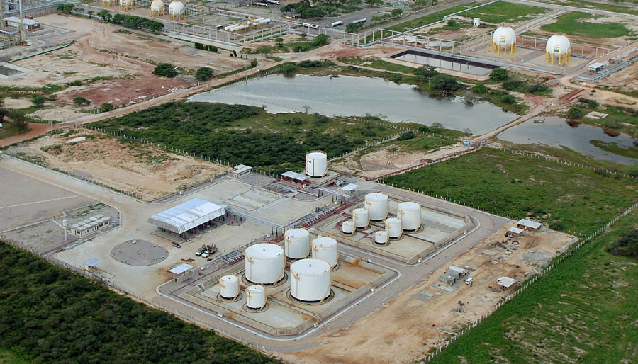PBio consegue autorização da Receita, mas fica de fora do L43