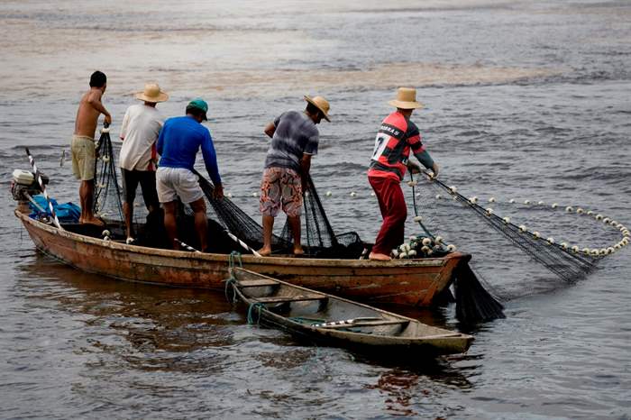 Pesquisadores aumentam durabilidade de biodiesel de óleo de peixe