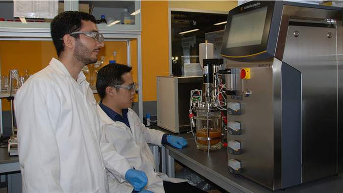 Pesquisadores de Singapura aprimoram produção a partir de OGRs