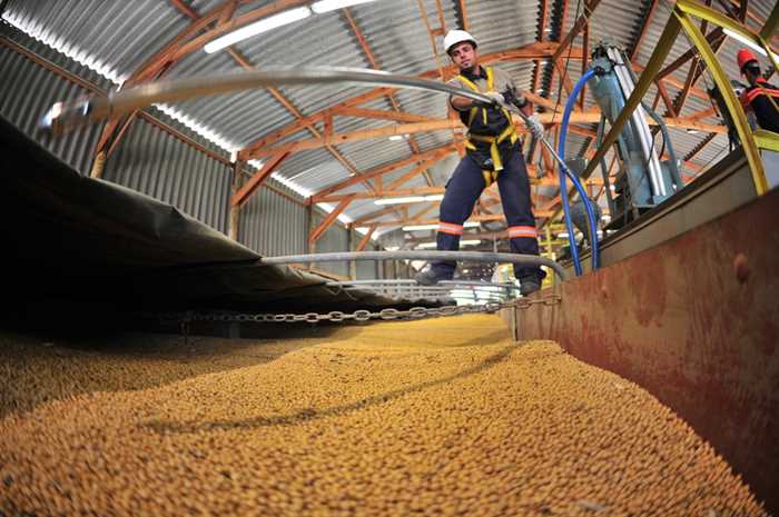 Processamento de soja deve ter alta de 6,6% este ano