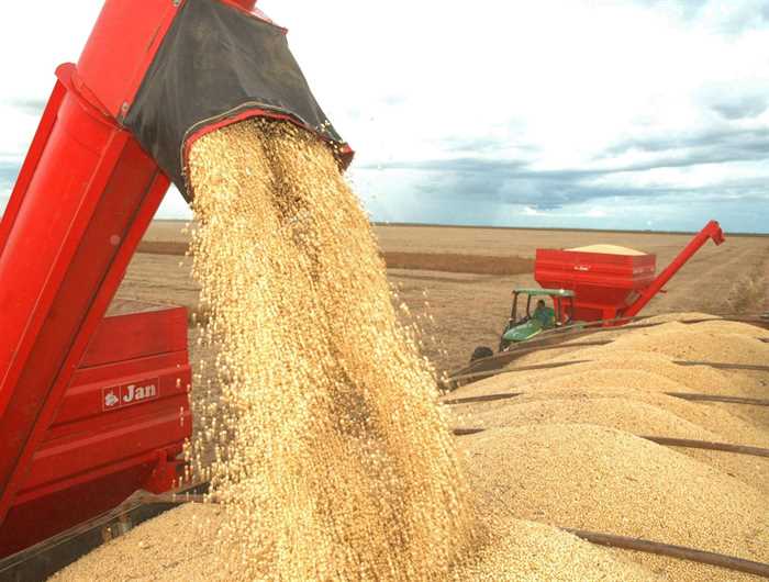 Clima preocupa produtores de soja e eleva preço no mercado interno