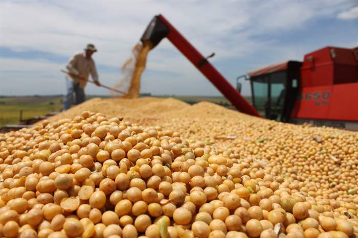Biodiesel deve consumir o óleo de metade da soja do país em 2022