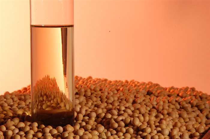 Óleo de soja representa 36,7% da produção mundial de biodiesel
