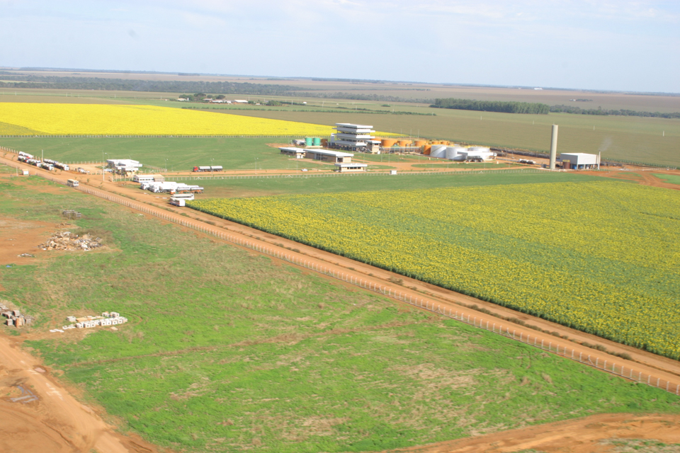Em busca de sócio, Fiagril negocia com Bunge
