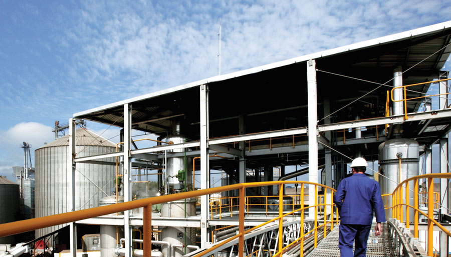 Oleoplan lucra R$ 28,4 milhões em 2014