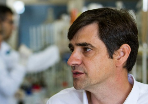 paulo soarez81134