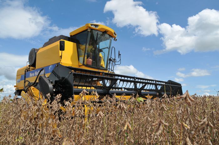 Agroconsult estima safra da soja em 101,6 milhões de toneladas