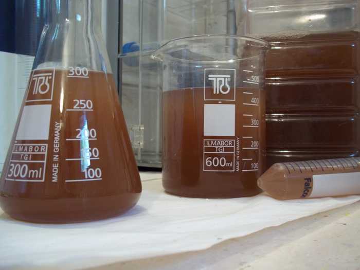 Pesquisadores criam antioxidante renovável para biodiesel