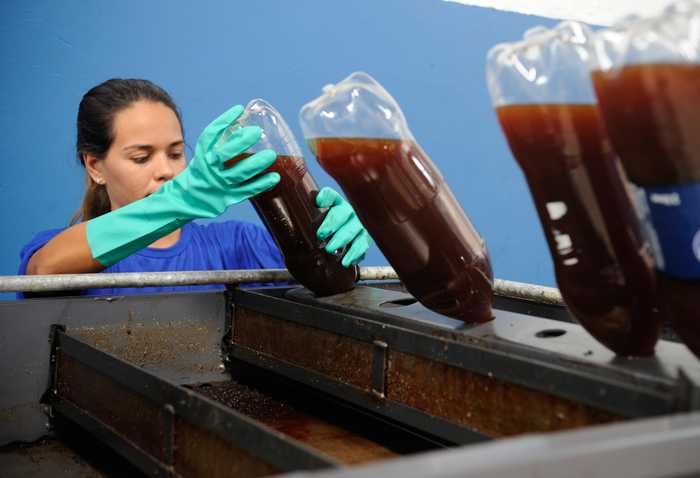 Biodiesel a partir de resíduos vai mais do que dobrar em 10 anos