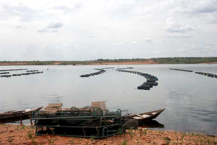 Vísceras de peixe são utilizadas na produção de biodiesel no CE