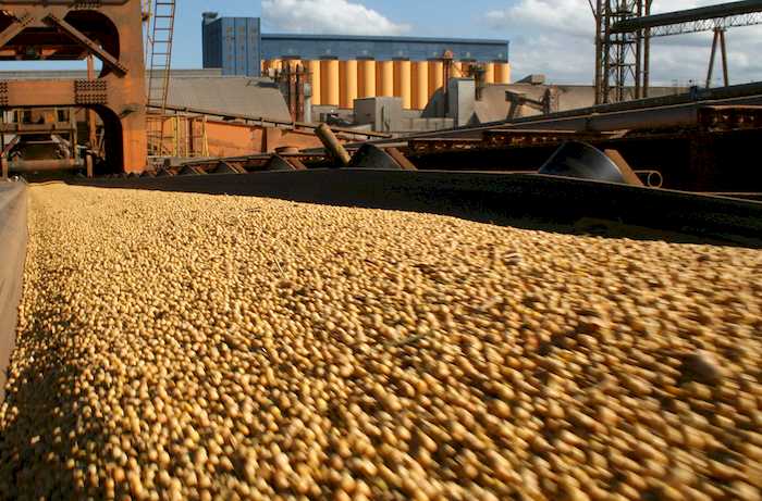 Brasil e Argentina querem estratégia comum para agregar valor à soja