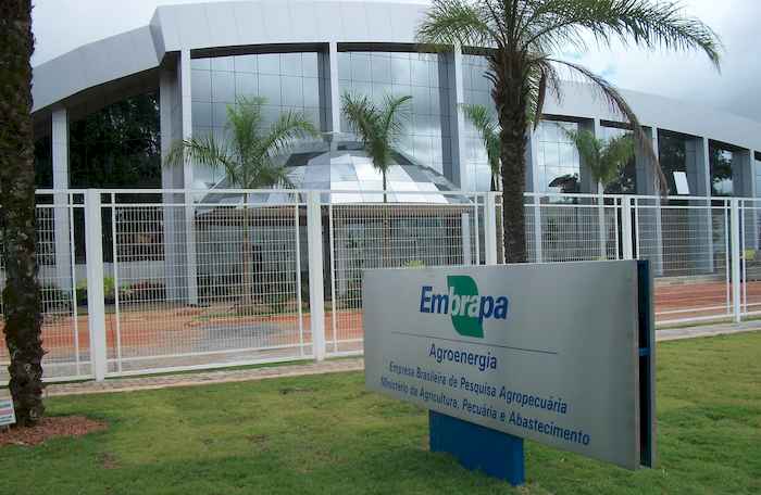 Evento da Embrapa Agroenergia apresenta tecnologias de bioenergia
