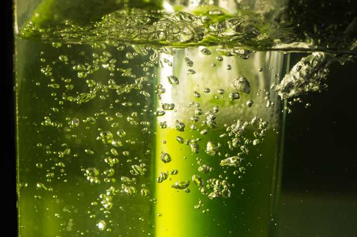 Mercado de bioenergia deve chegar a US$ 246 bilhões até 2024