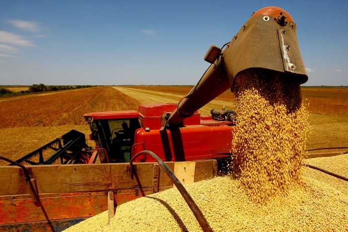 AgRural estima que colheita da soja atingiu 90% da área