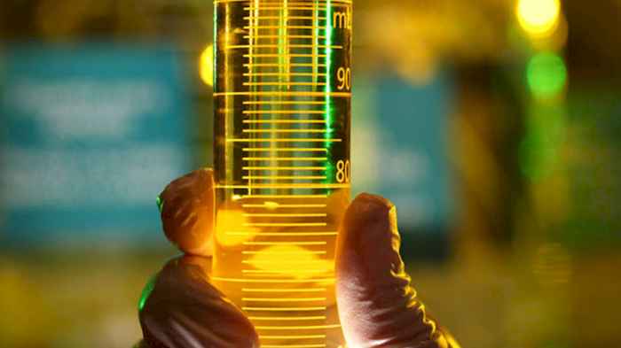 ANP autuou quatro usinas de biodiesel no 1º semestre