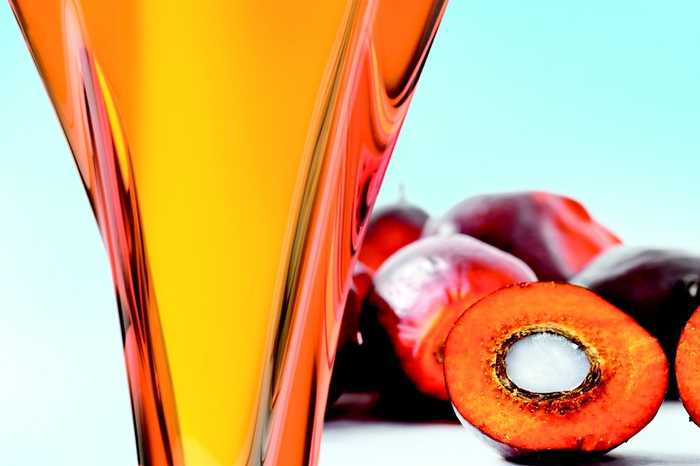 Produção mundial de óleos vegetais deve bater recorde em 2016